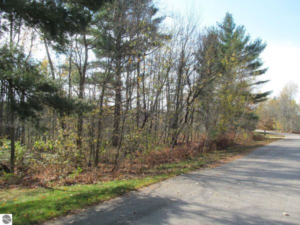 34 White Pine Drive, Cadillac, MI 49601