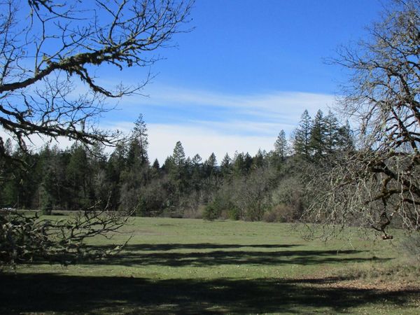 Laurel Road, Unit TL 1104, Cave Junction, OR 97523