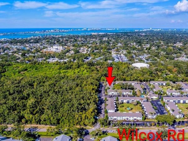 13125 WILCOX ROAD , Unit 16202, LARGO, FL 33774