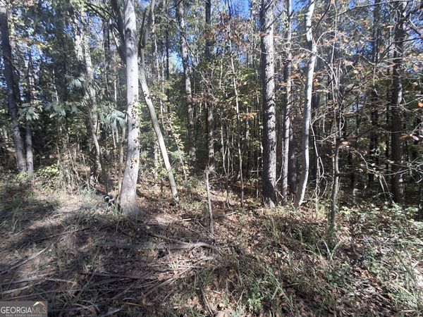 0 Old Hamilton Mills Road, Bremen, GA 30110