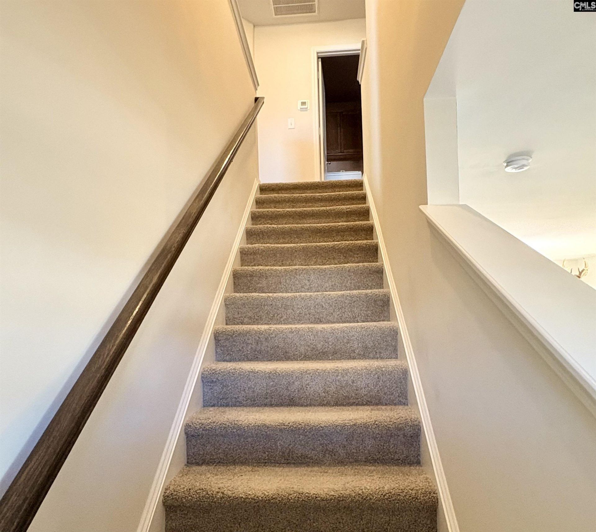 710 Common Widgeon Way  Photo 9