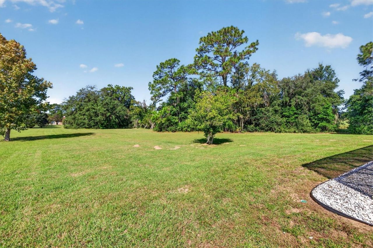 442 N Cherry Pop Drive, Inverness, FL 34453 Photo