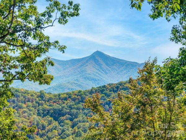 100 White Rock Branch Road , Candler, NC 28715