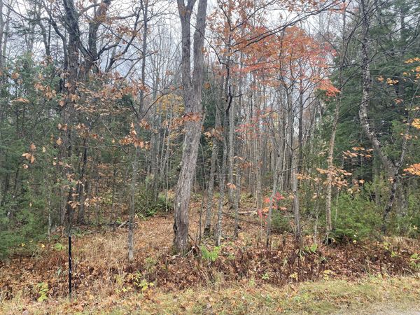 10 Acres E 1 1/2 Mile RD, Sugar Island, MI 49783