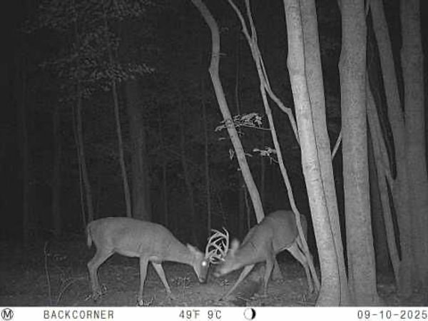 Zion Road, Hamden, OH 45634