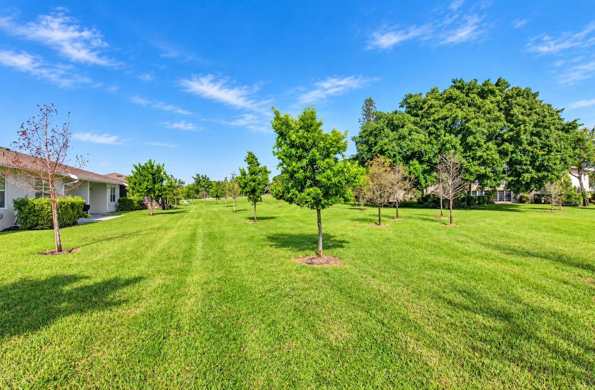 5665 Divine Drive, Delray Beach, FL 33484 Photo