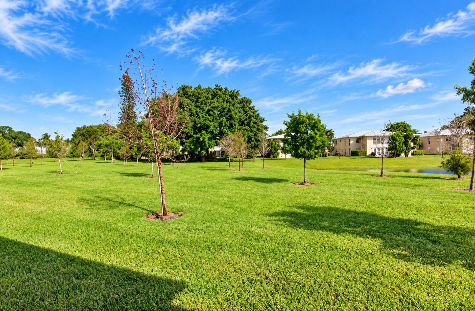 5665 Divine Drive, Delray Beach, FL 33484 Photo