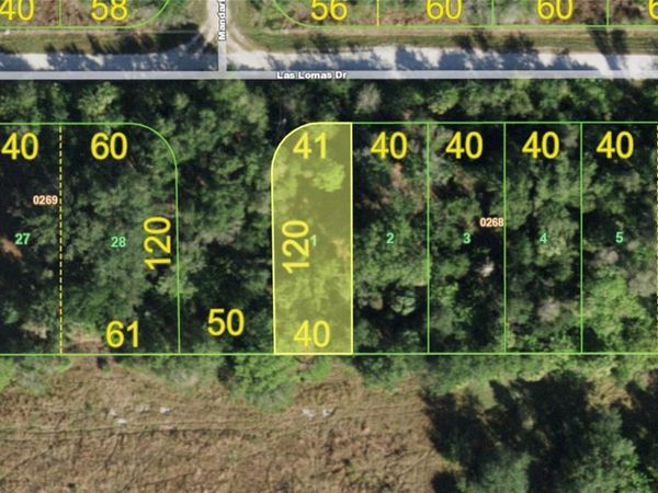 27263 LAS LOMAS DRIVE , PUNTA GORDA, FL 33955