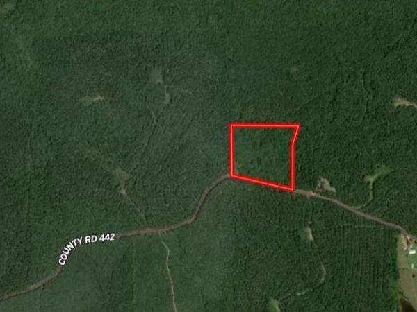 County Road 442, Oxford, MS 38655