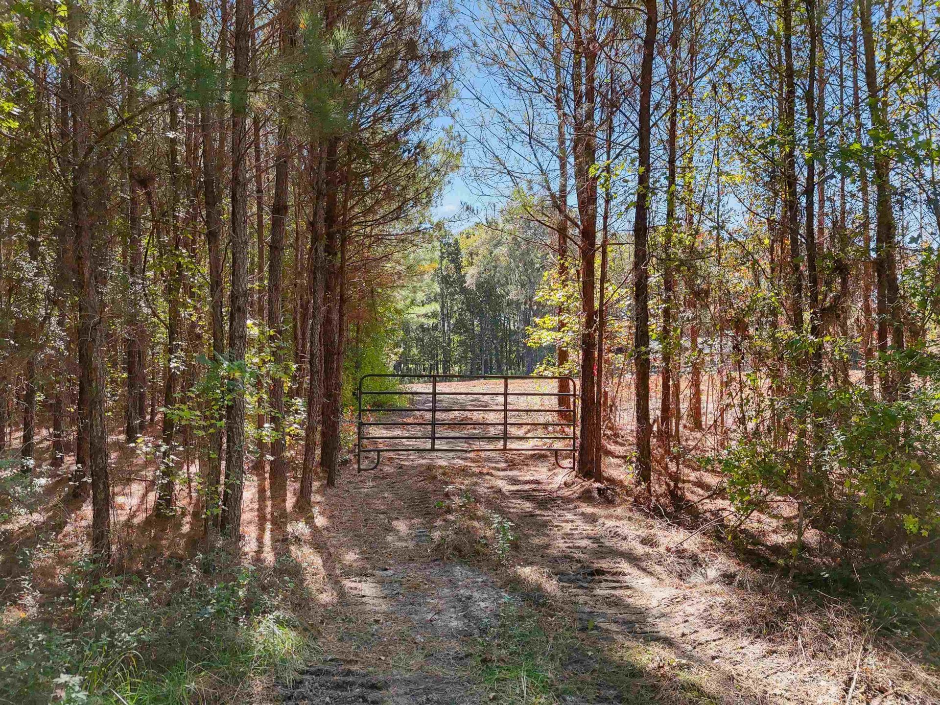 5944 Rose Hill Rd.  Photo 33
