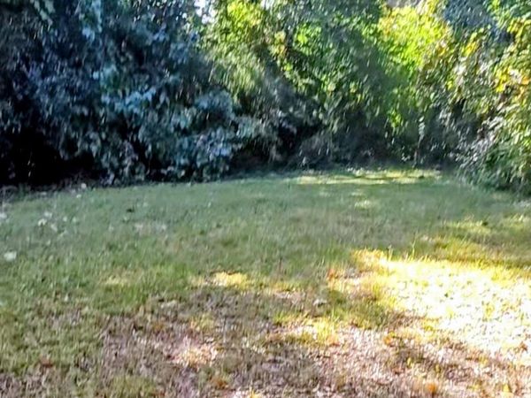 4210 Dinglewood Avenue , Charlotte, NC 28205