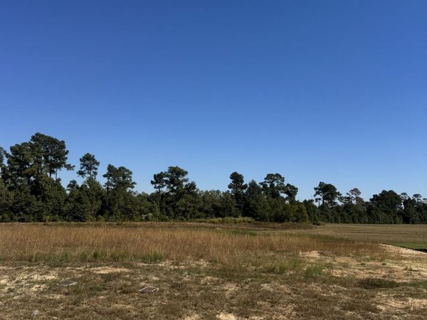 3107 E Blue Heron Drive , Lake Charles, LA 70615