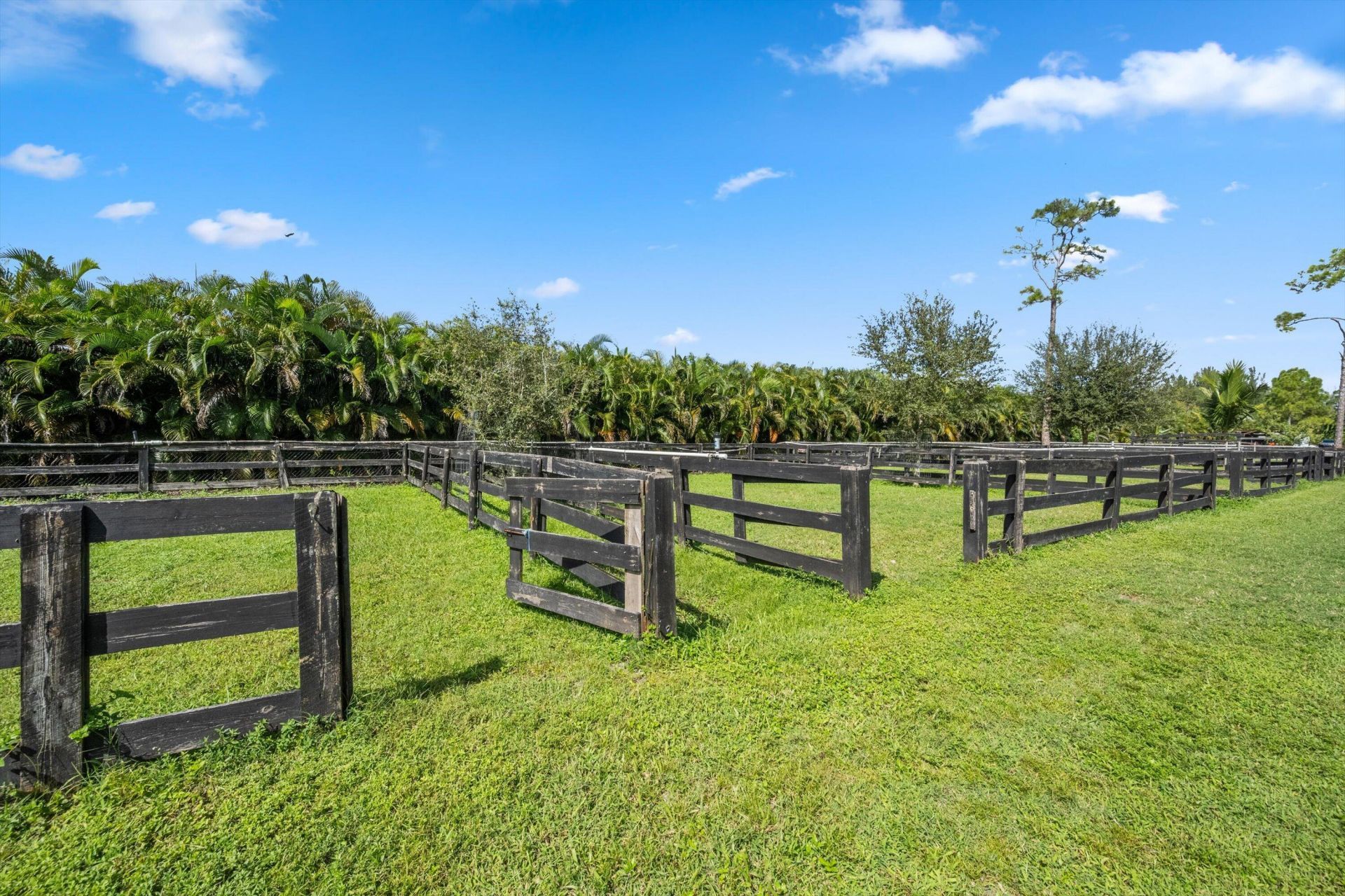 11758 Hawk Hollow, Lake Worth, FL 33449 Photo