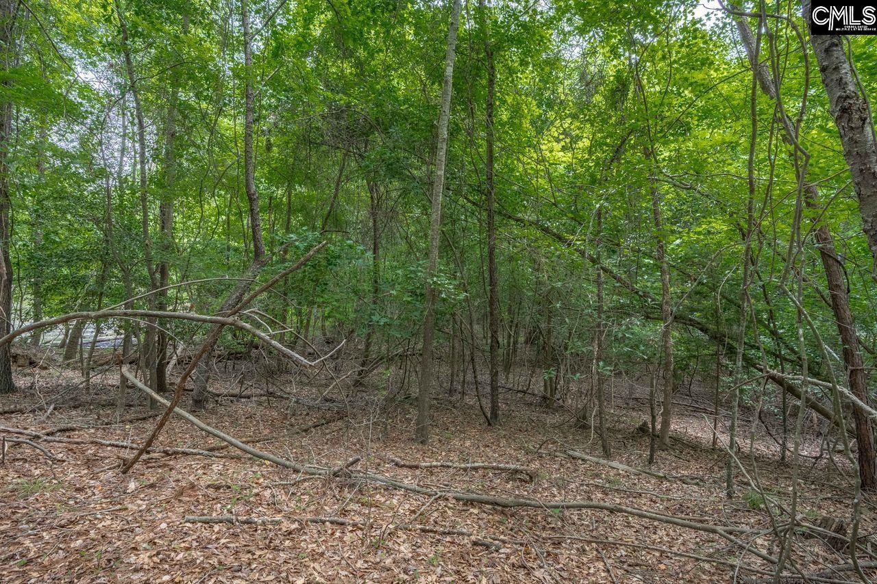 1600 Wildwood Cove Road  Photo 11