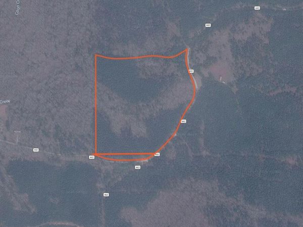 County Road 442, Paris, MS 38949
