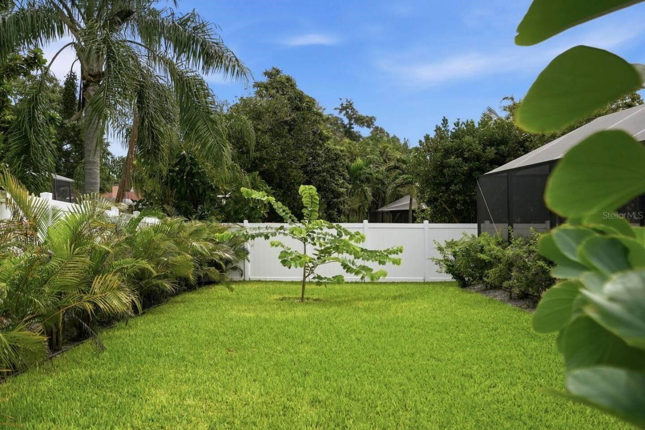 1413 Treetop Drive, Palm Harbor, FL 34683 Photo