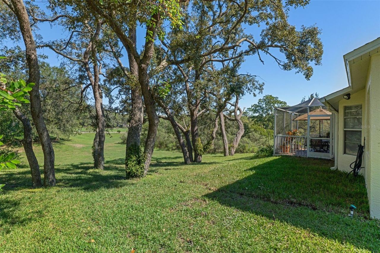2112 Waterview Terrace, Spring Hill, FL 34606 Photo
