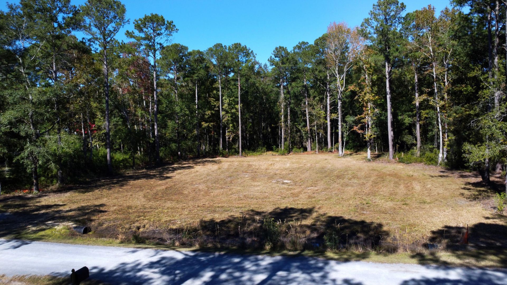 501 Mouzons Bluff Photo 7