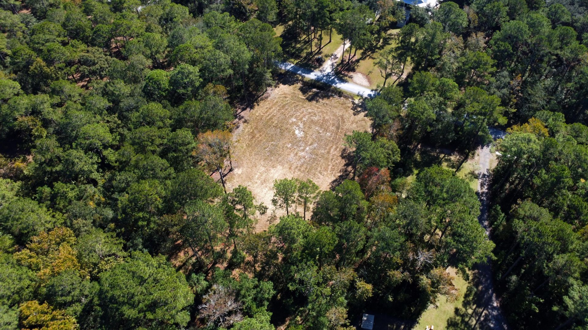 501 Mouzons Bluff Photo 8