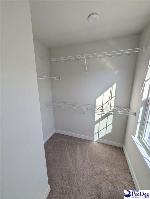 113 Corvus St Photo 26