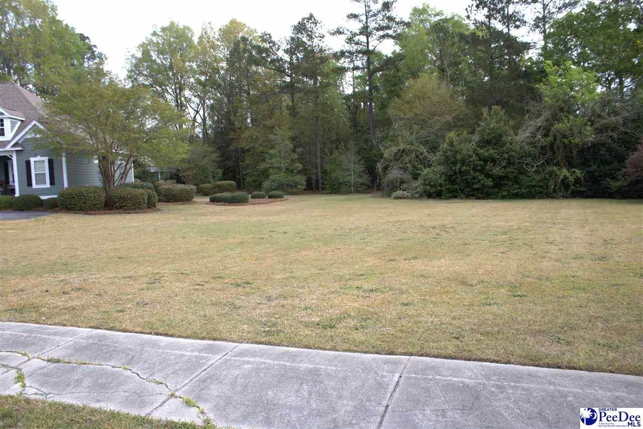 189 Pines Drive Photo 8