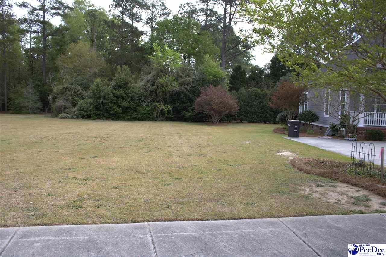 189 Pines Drive Photo 9