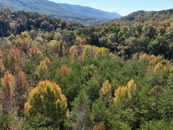 1269 County Road 480 , Englewood, TN 37329
