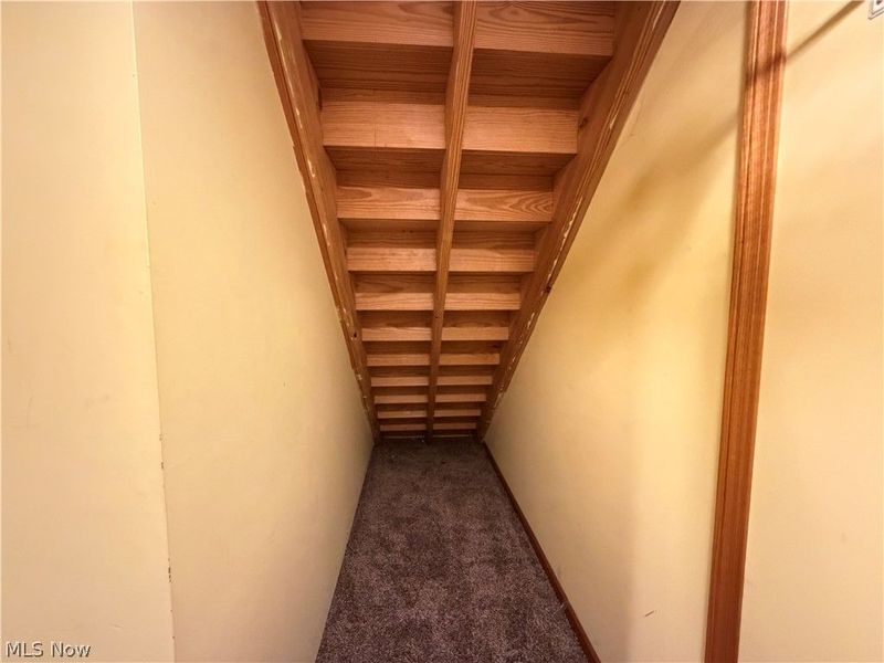 429 Dewey Avenue, Newcomerstown, OH 43832 Photo 34
