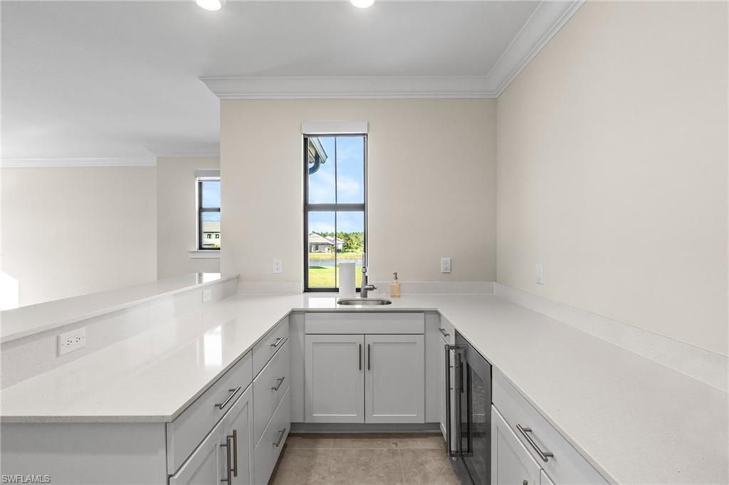 14111 Arivaca Ct, Estero, FL 33928 Photo