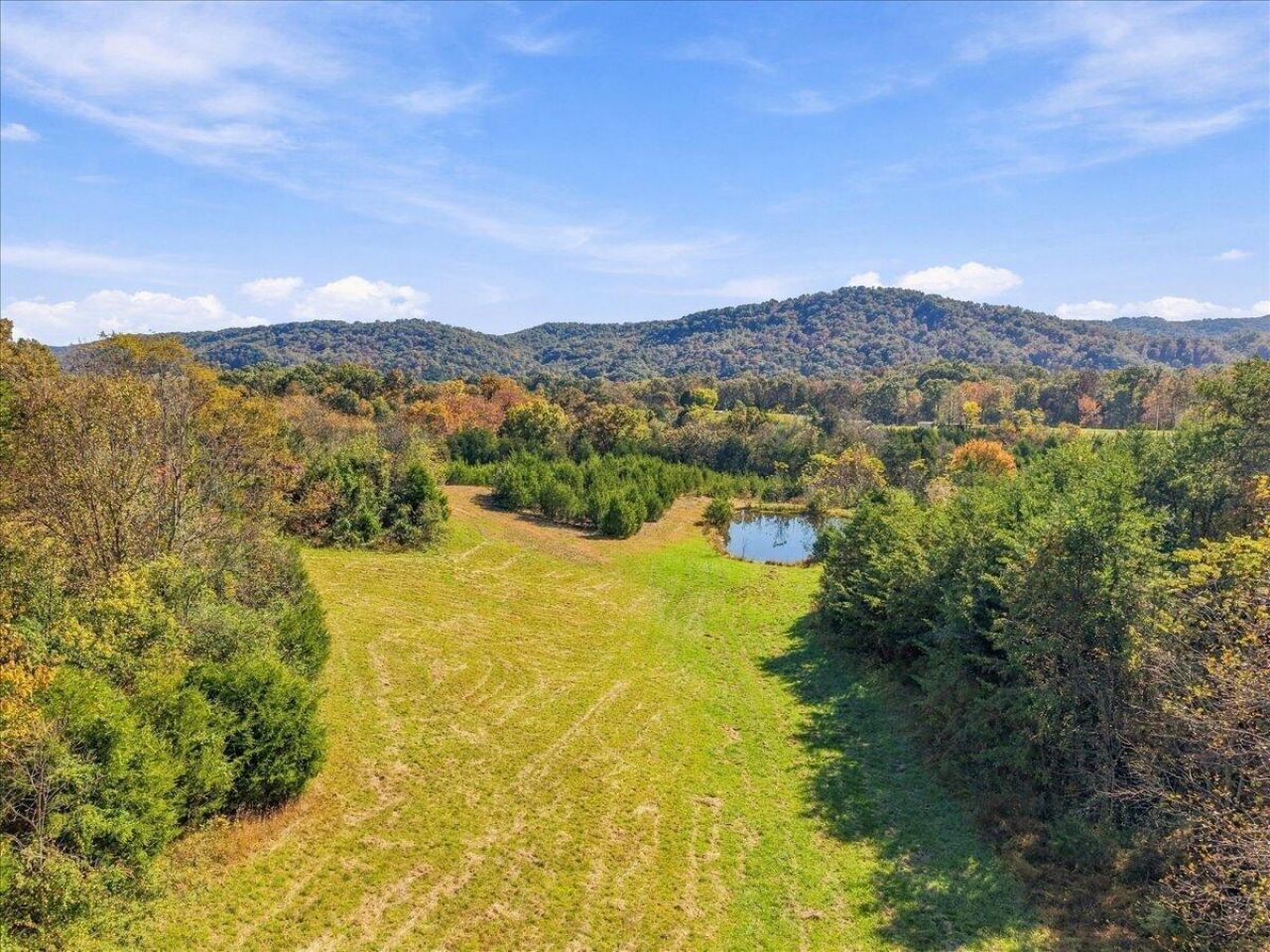 0 Kite Road, Rogersville, TN 37857 Main Photo
