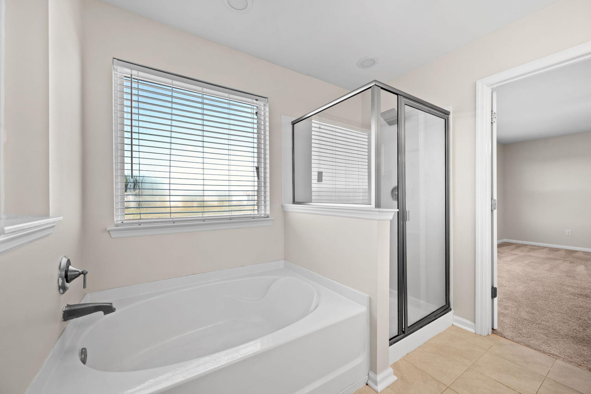 238 Basket Grass Lane Photo 46