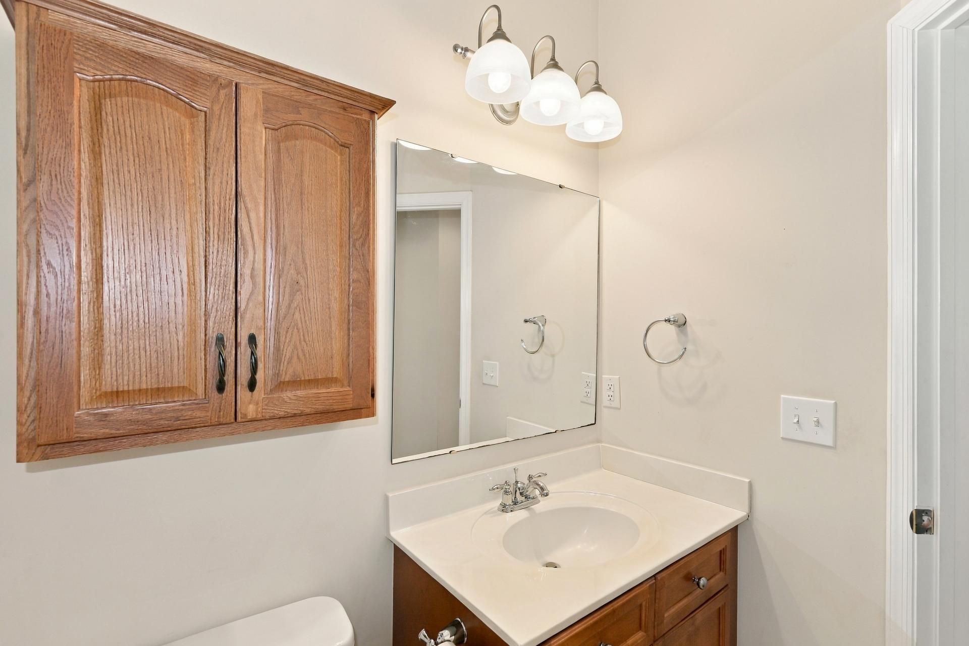 1420 Chimney Swift Lane Photo 19