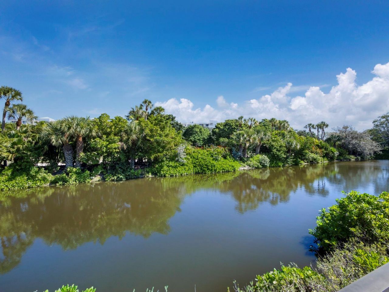 2352 Harbour Oaks Drive, Longboat Key, FL 34228 Photo