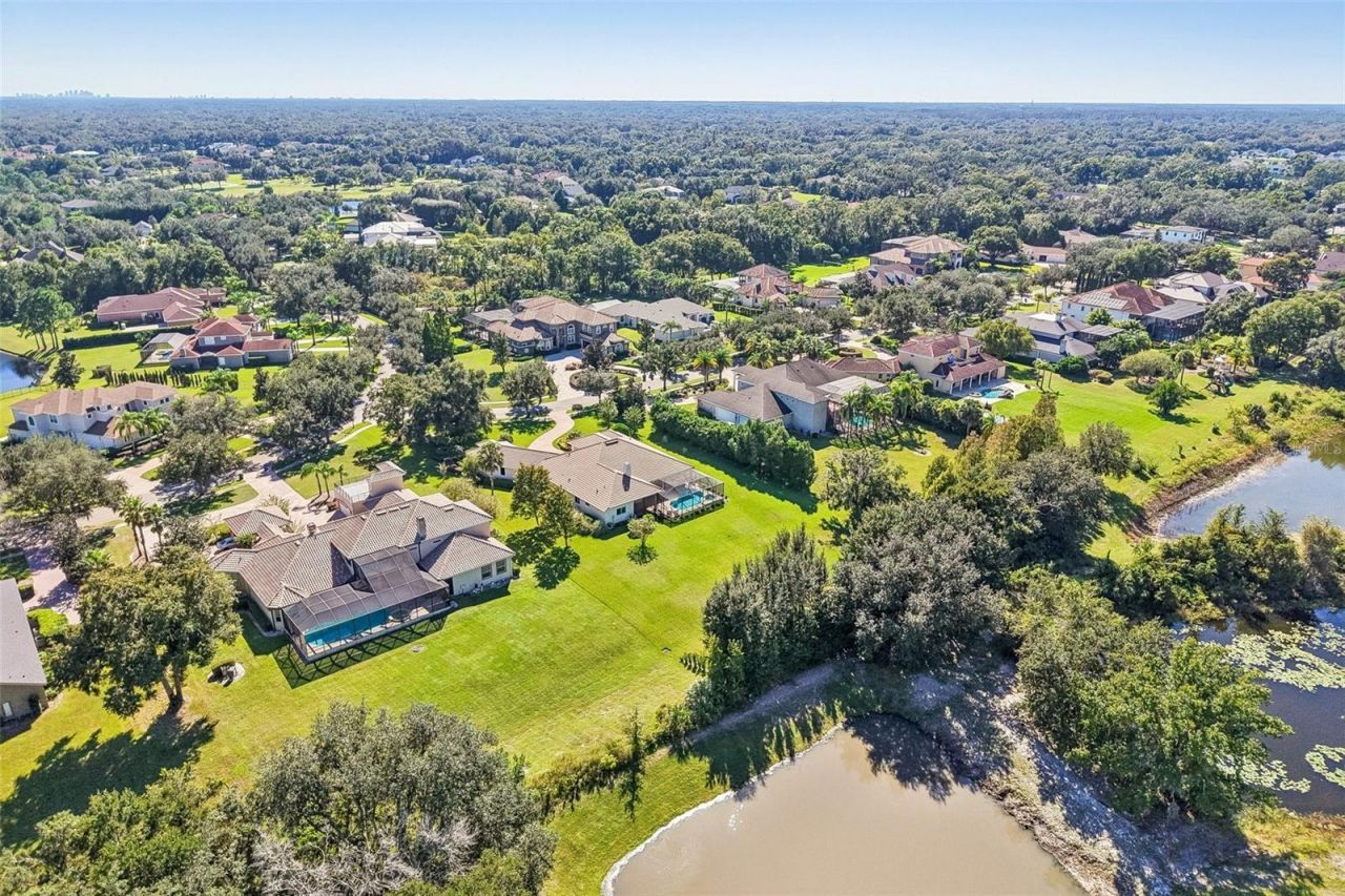 19818 Sea Rider Way, Lutz, FL 33559 Photo