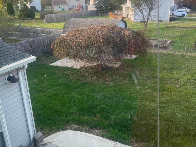 1920 Westbranch Road, Grove City, OH 43123 Photo 2