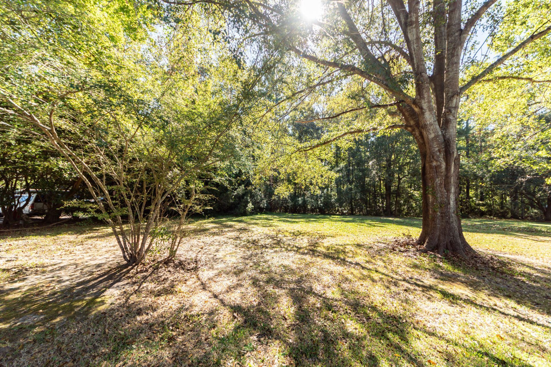 238 Allspice Drive Photo 31