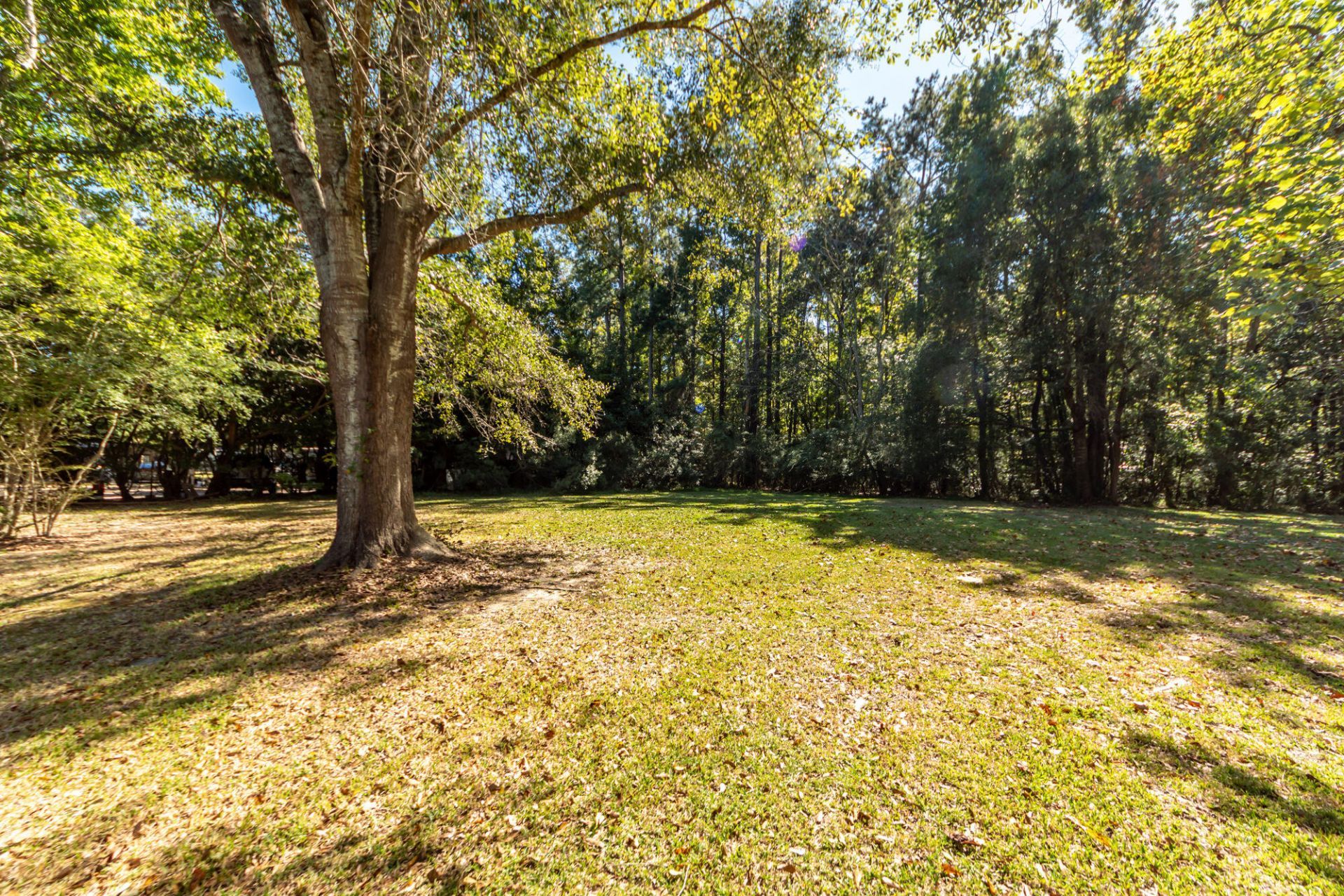 238 Allspice Drive Photo 32