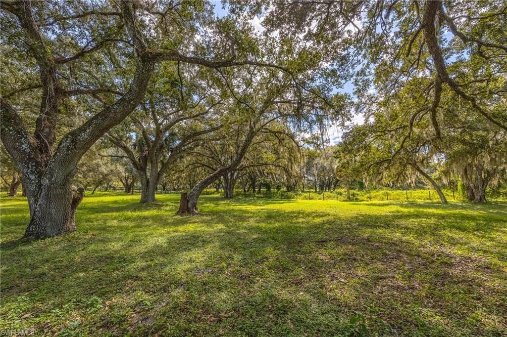 1352 Cemetery Rd , Labelle, FL 33935 Photo