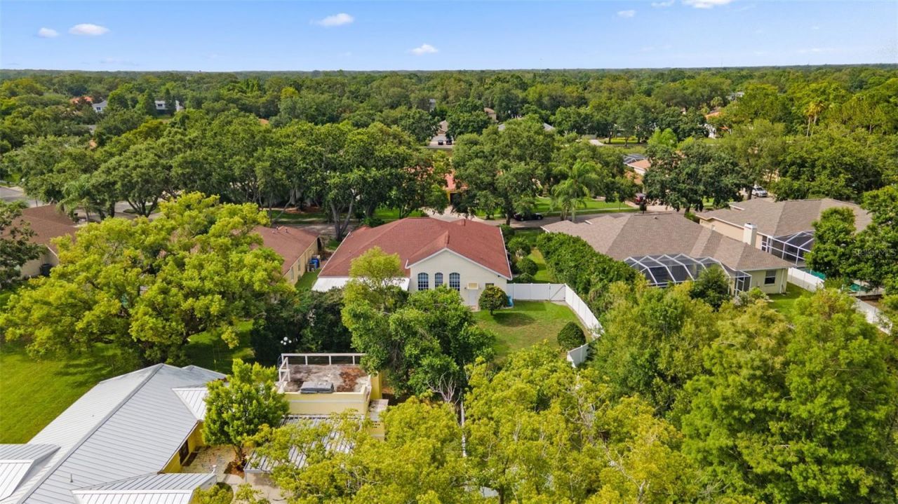 10310 Carroll Cove Place , Tampa, FL 33612 Photo