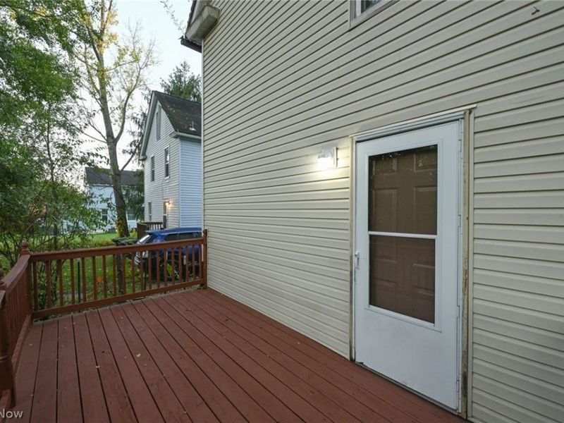 1137 Bellows Street, Akron, OH 44301 Photo 39