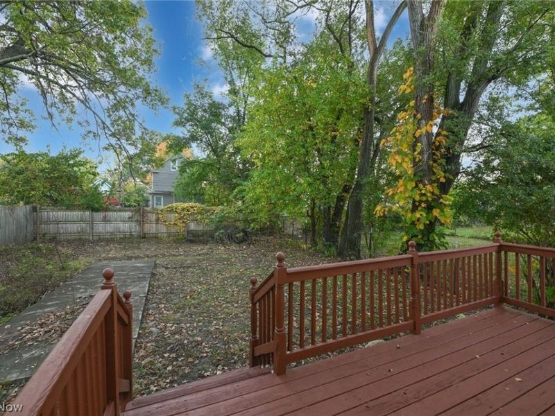 1137 Bellows Street, Akron, OH 44301 Photo 40