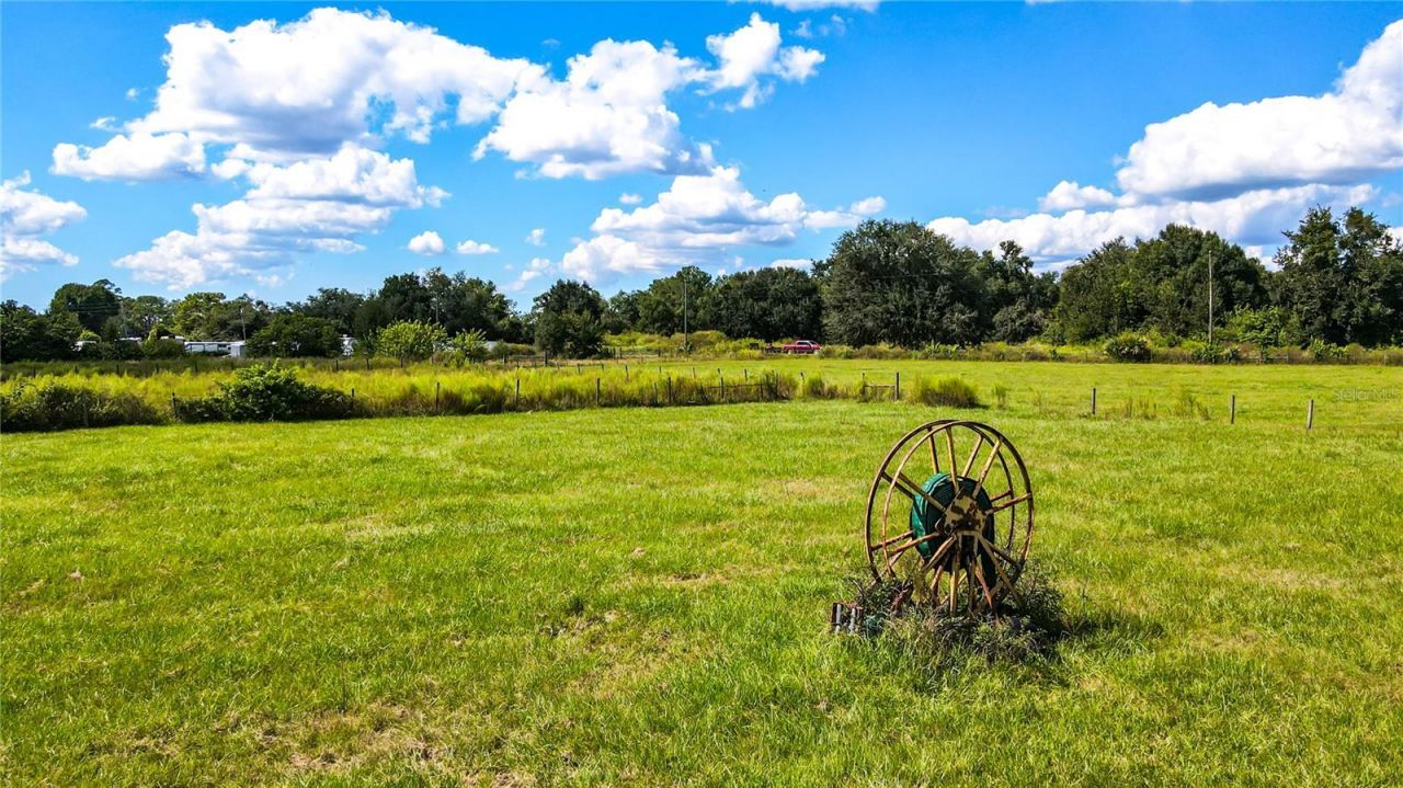 21517 Horton Road , Land O Lakes, FL 34637 Photo