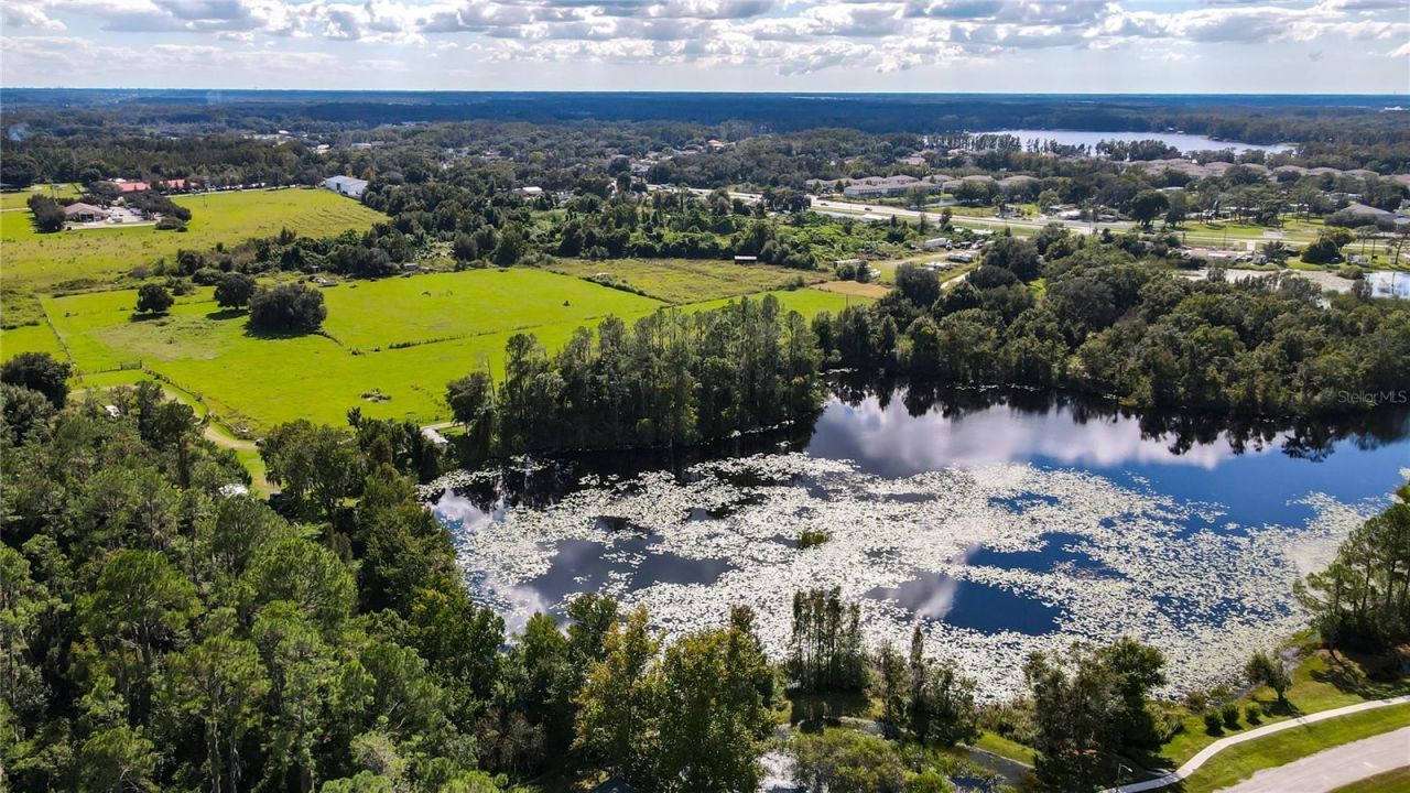 21517 Horton Road , Land O Lakes, FL 34637 Photo