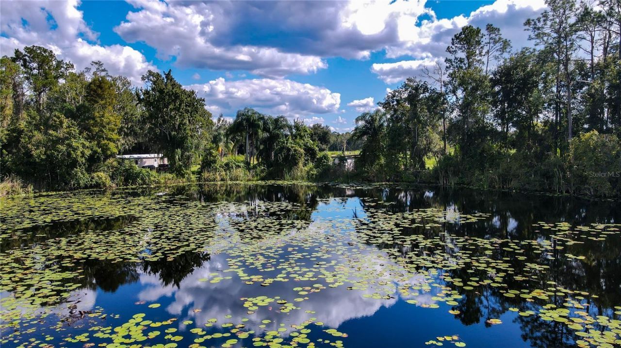21517 Horton Road , Land O Lakes, FL 34637 Photo