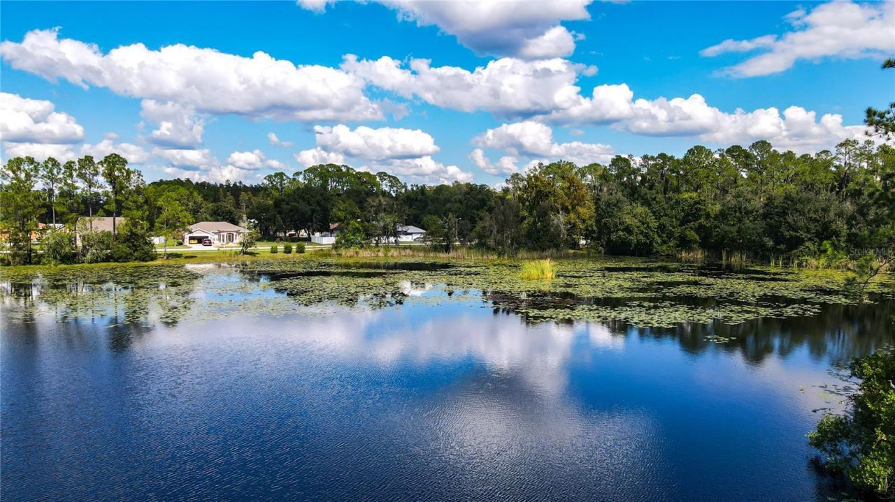 21517 Horton Road , Land O Lakes, FL 34637 Photo