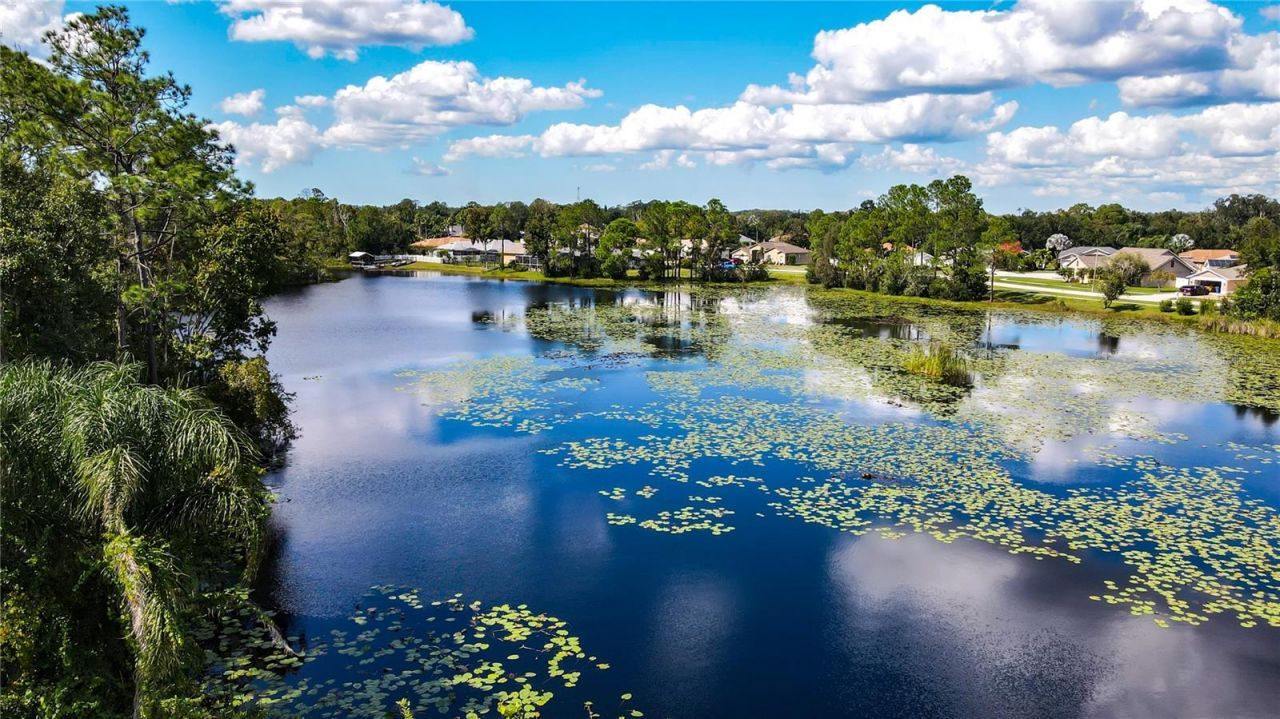 21517 Horton Road , Land O Lakes, FL 34637 Photo