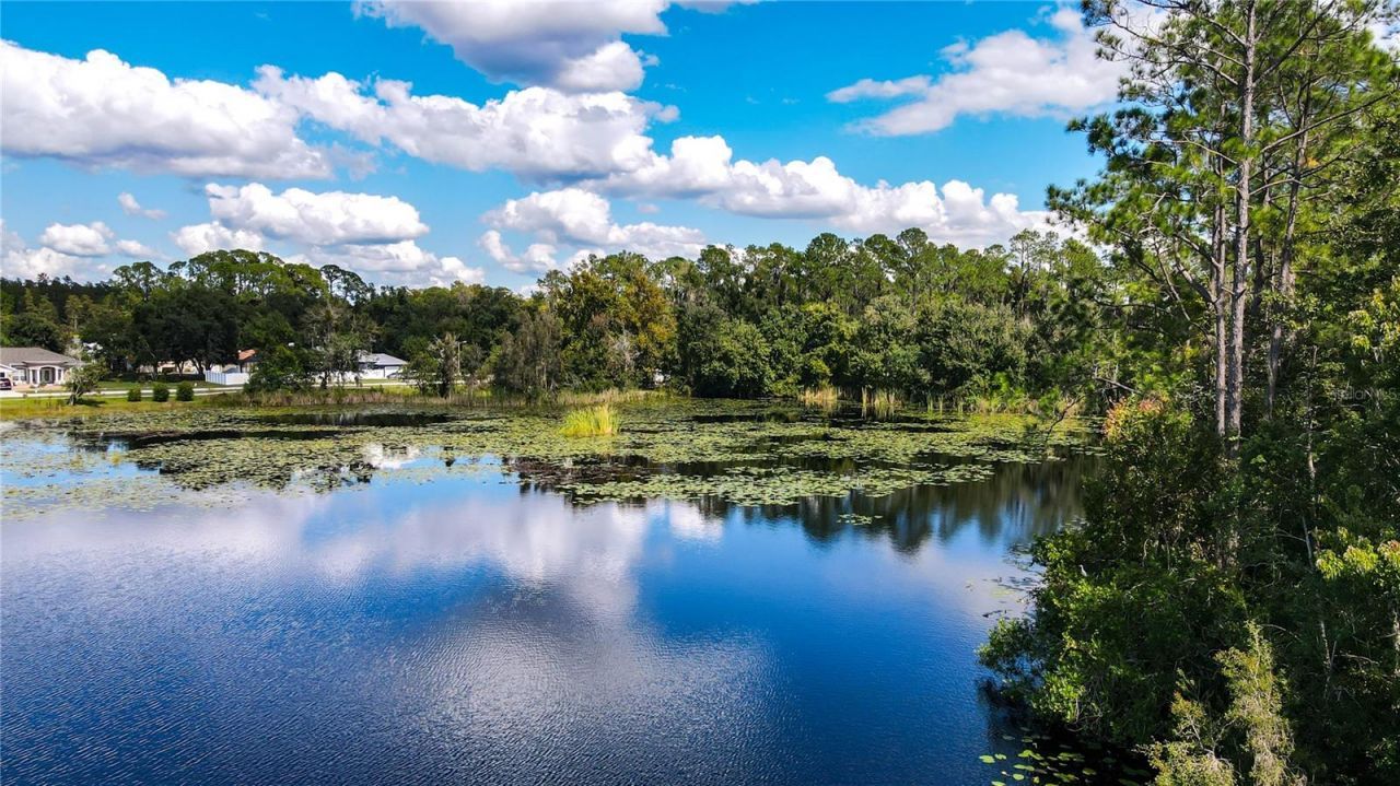 21517 Horton Road , Land O Lakes, FL 34637 Photo