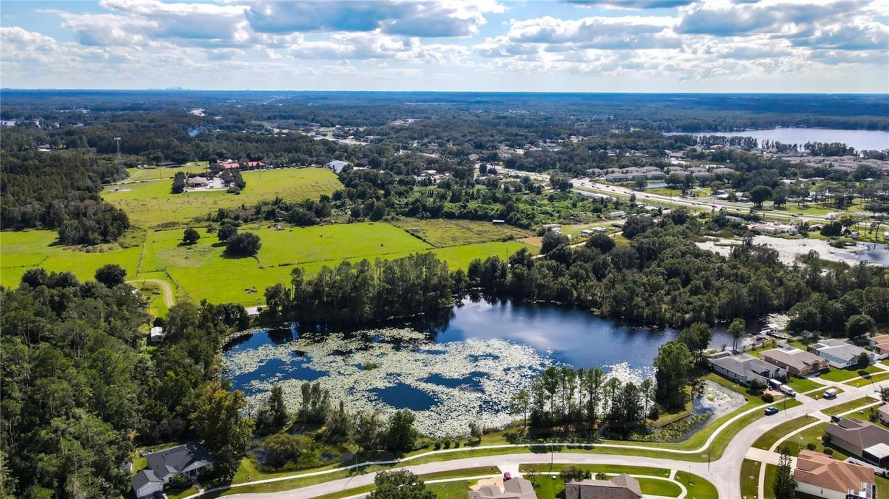 21517 Horton Road , Land O Lakes, FL 34637 Photo