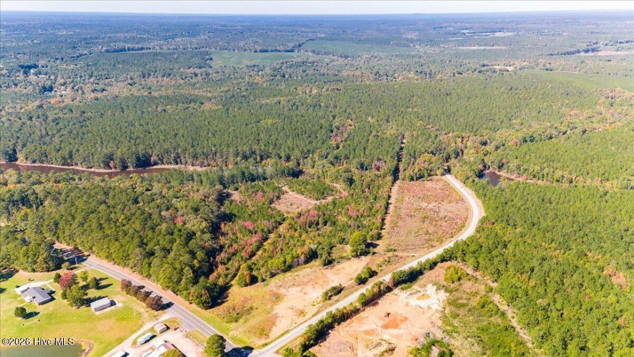 0 Hwy 378 East  Photo 4