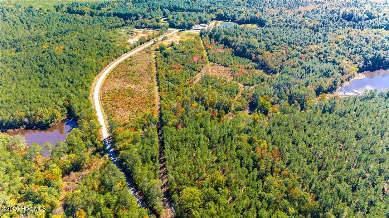 0 Hwy 378 East  Photo 9